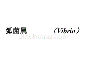 弧菌属 (vibrio)