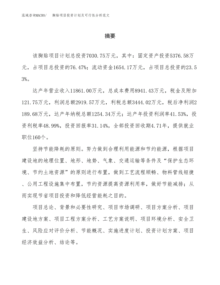 胸贴项目投资计划及可行性分析范文_第2页