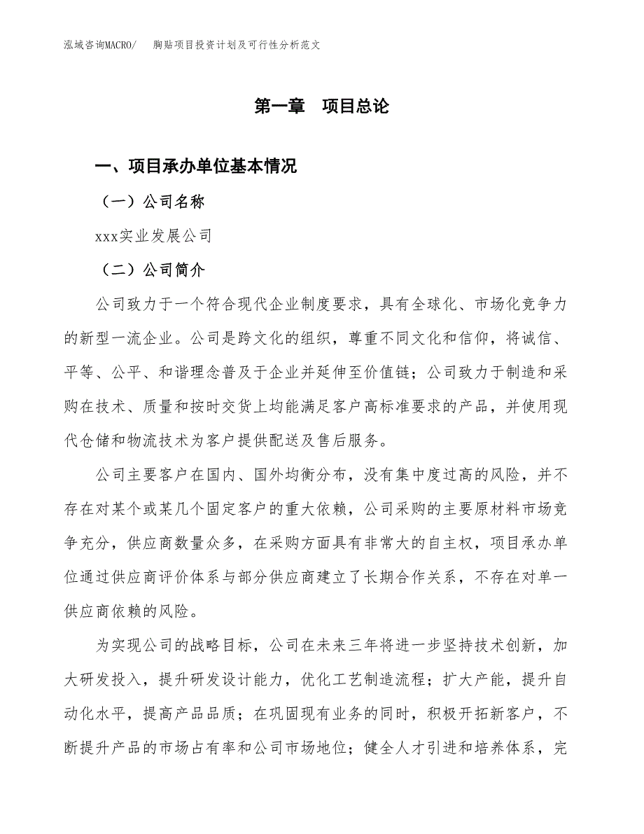 胸贴项目投资计划及可行性分析范文_第4页