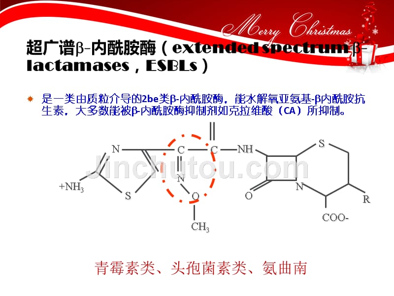 浅述超广谱β-内酰胺酶_第3页