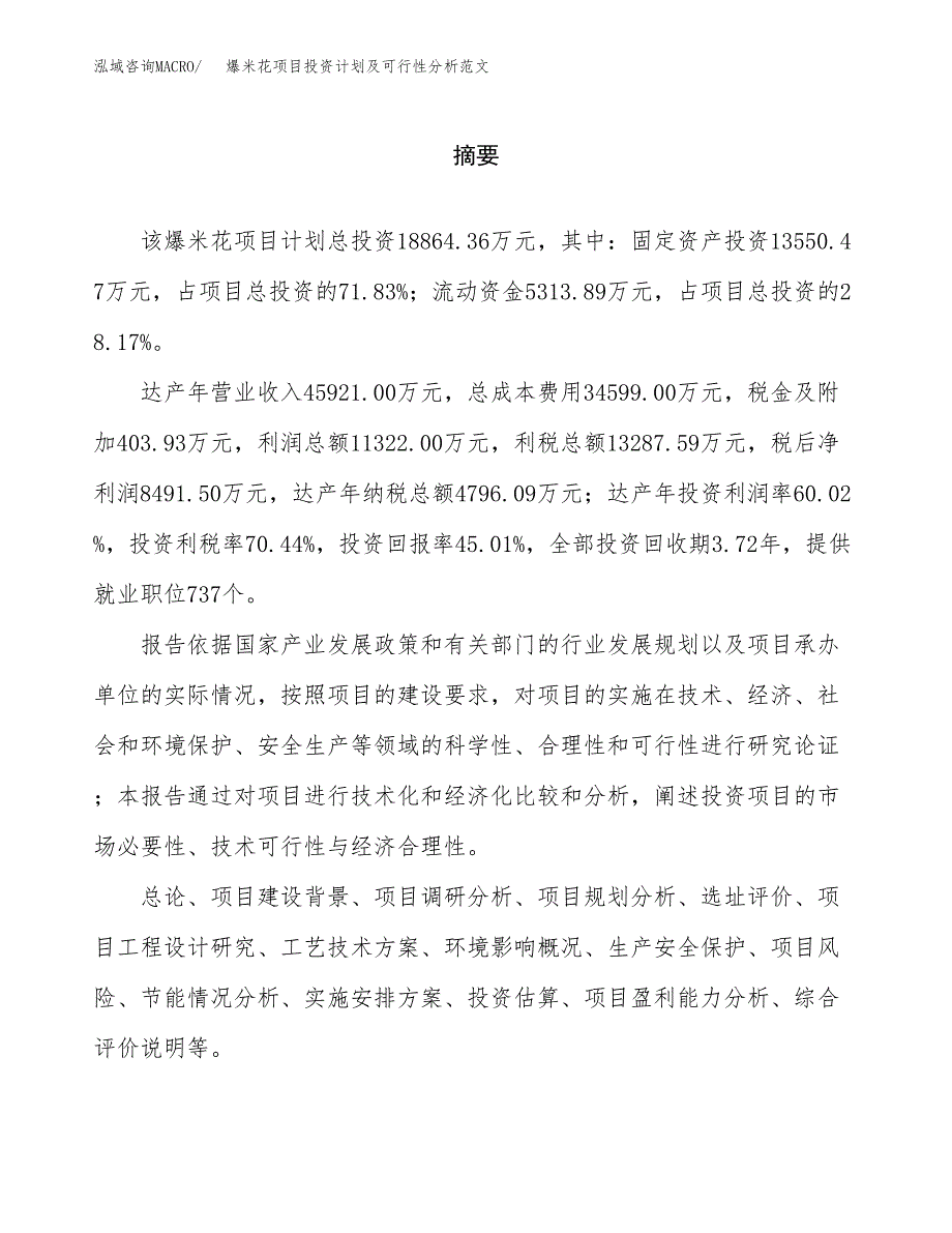 爆米花项目投资计划及可行性分析范文_第2页