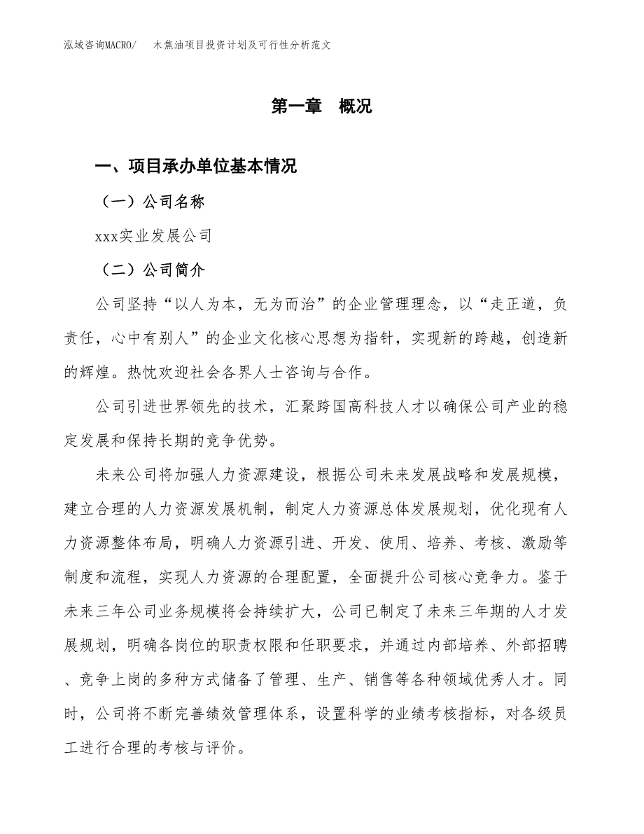 木焦油项目投资计划及可行性分析范文_第4页