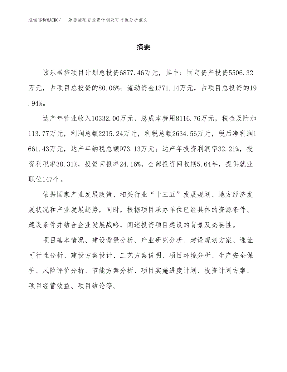 乐器袋项目投资计划及可行性分析范文_第2页