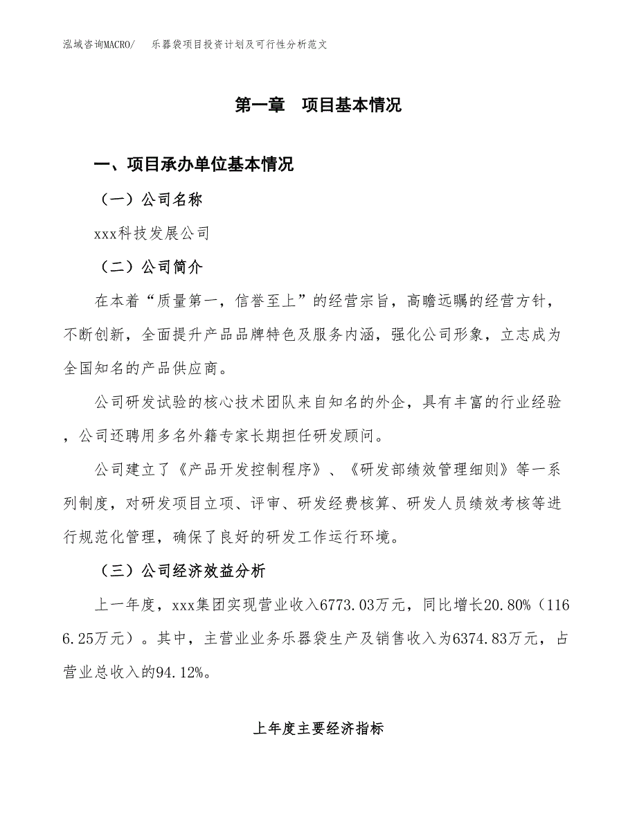 乐器袋项目投资计划及可行性分析范文_第4页