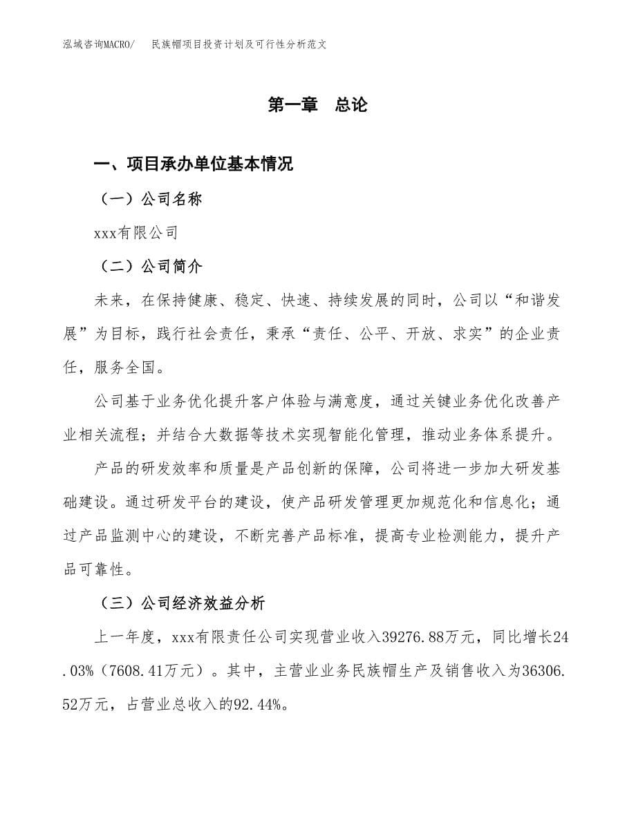 民族帽项目投资计划及可行性分析范文_第5页