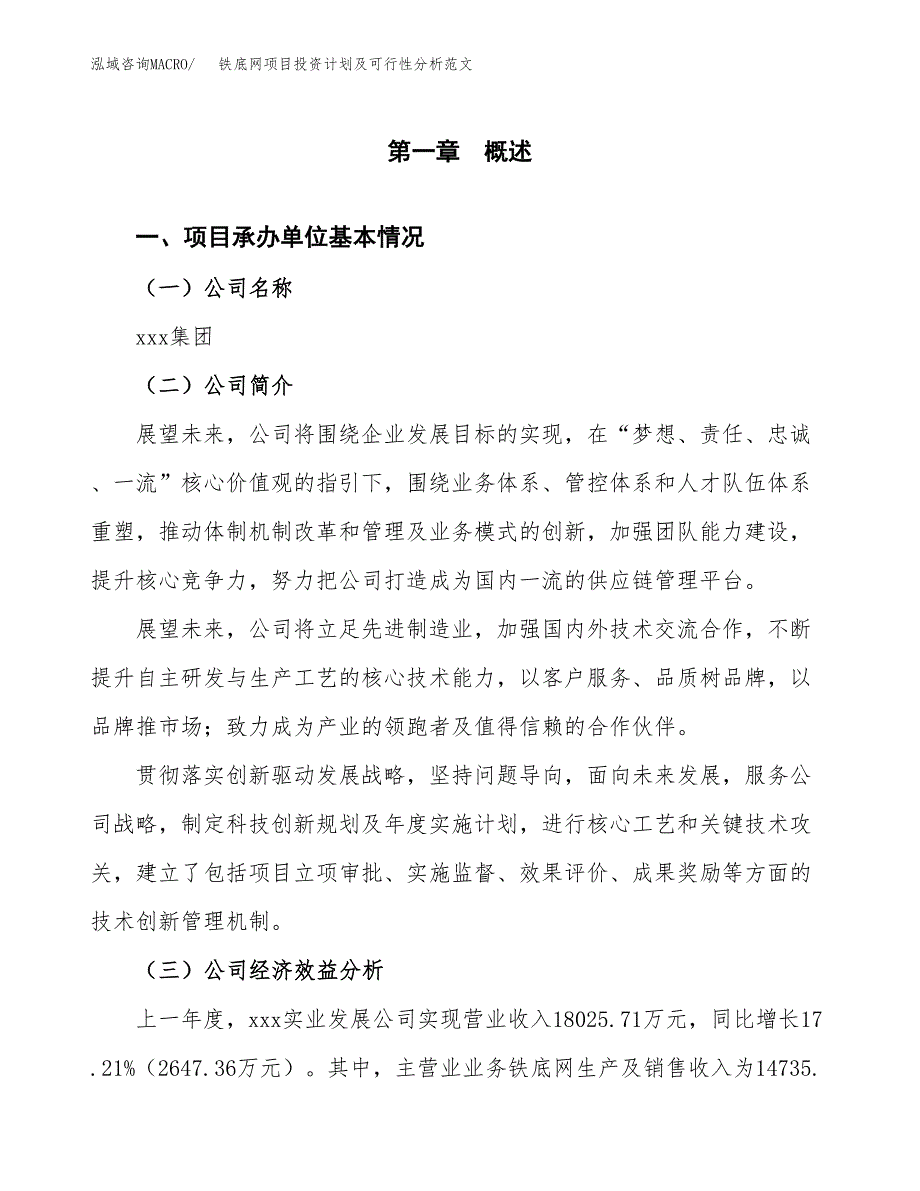 铁底网项目投资计划及可行性分析范文_第4页