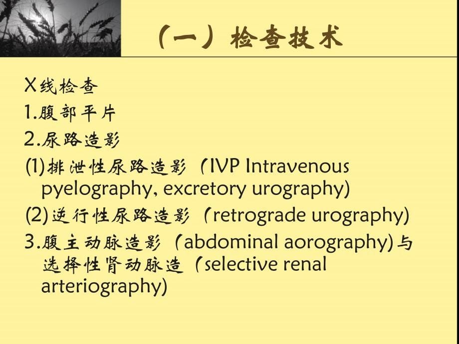 医学影像学-泌尿生殖系统_第5页