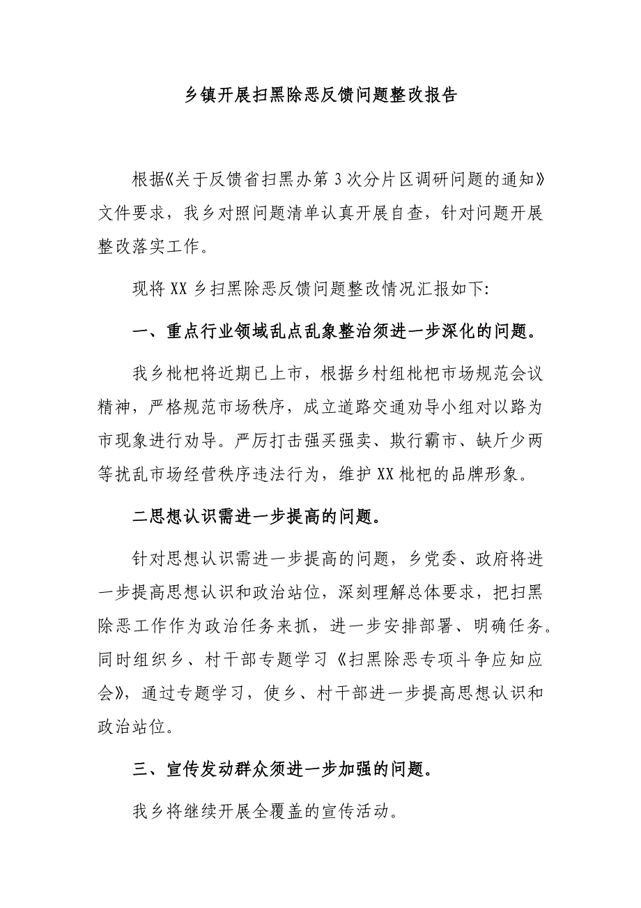 乡镇开展扫黑除恶反馈问题整改报告_第1页