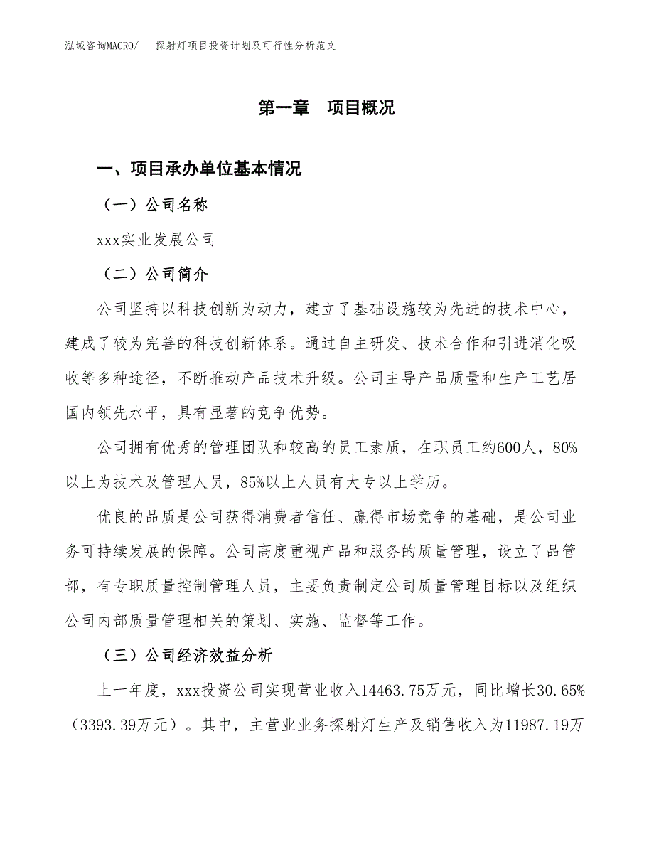 探射灯项目投资计划及可行性分析范文_第4页