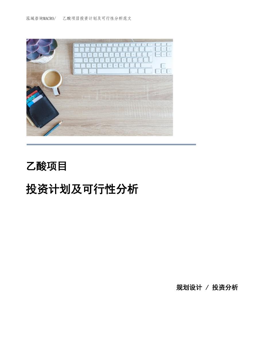 乙酸项目投资计划及可行性分析范文_第1页