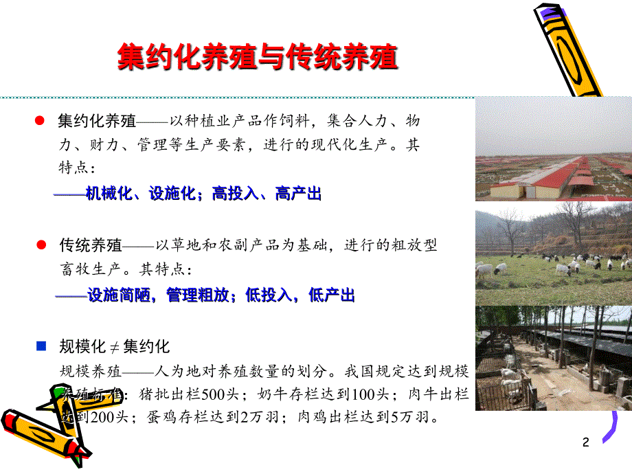 肉羊集约化养殖及相关技术方案_第2页