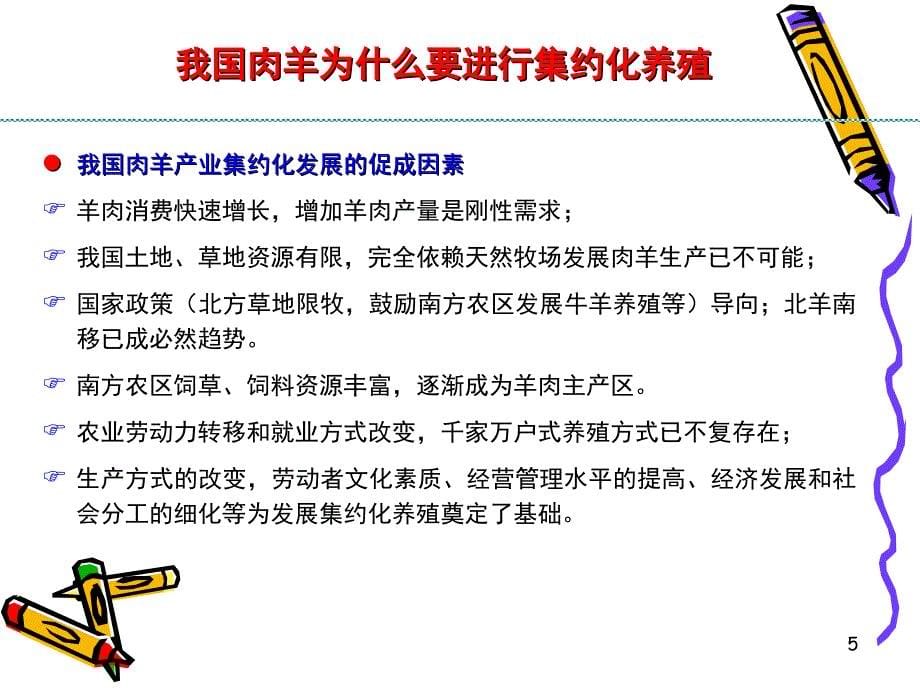 肉羊集约化养殖及相关技术方案_第5页