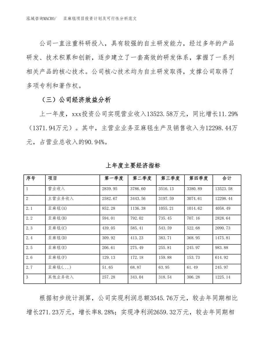 亚麻毯项目投资计划及可行性分析范文_第5页