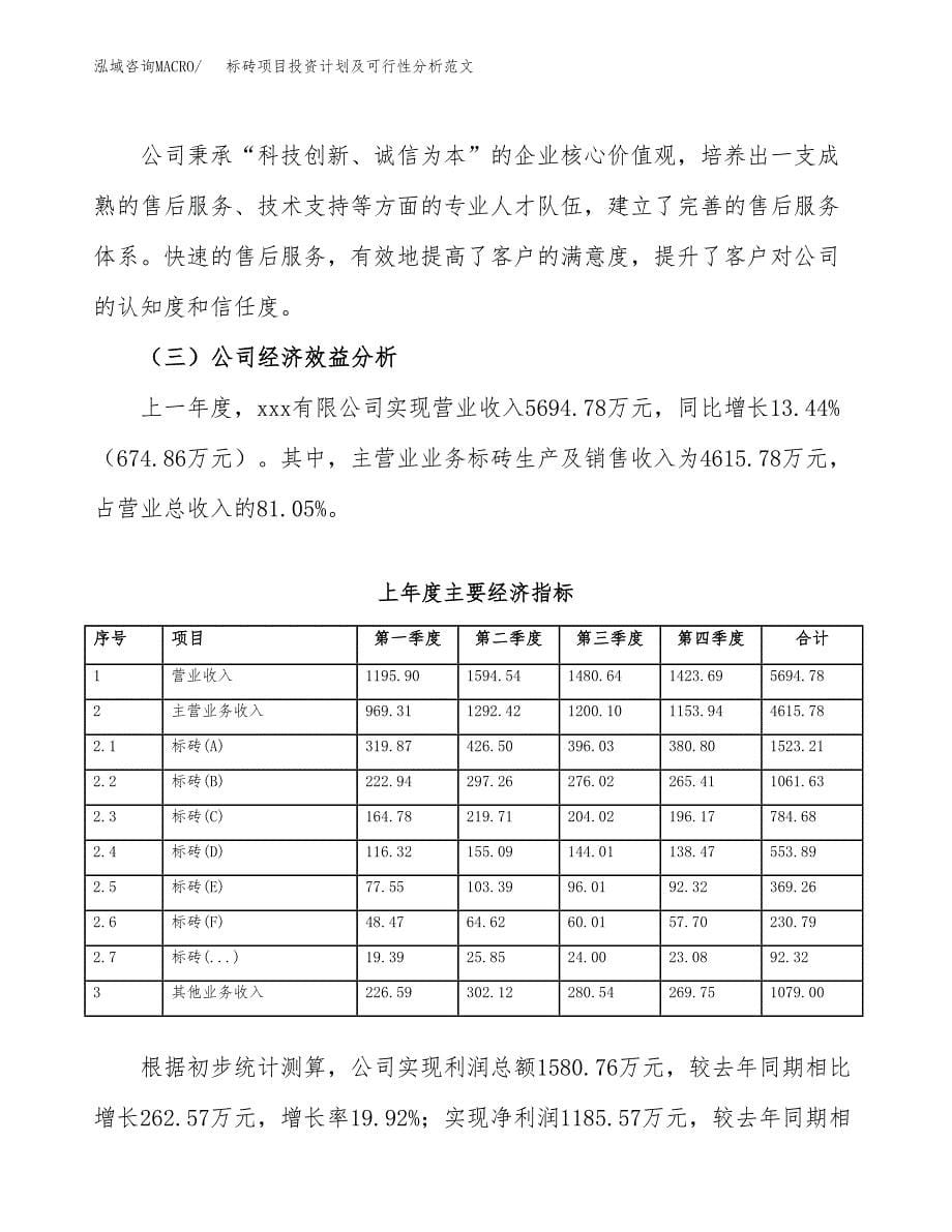 标砖项目投资计划及可行性分析范文_第5页