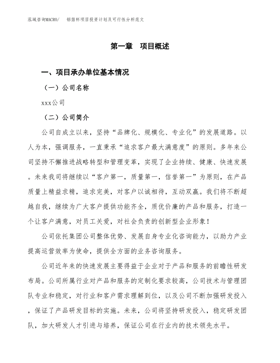 铝箔杯项目投资计划及可行性分析范文_第4页