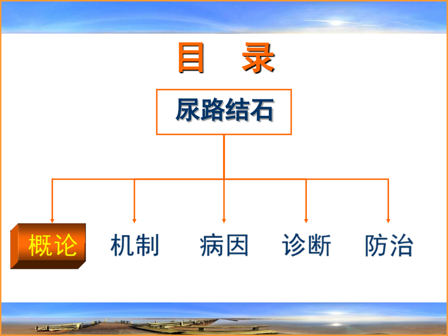 泌尿外科尿路结石_第3页