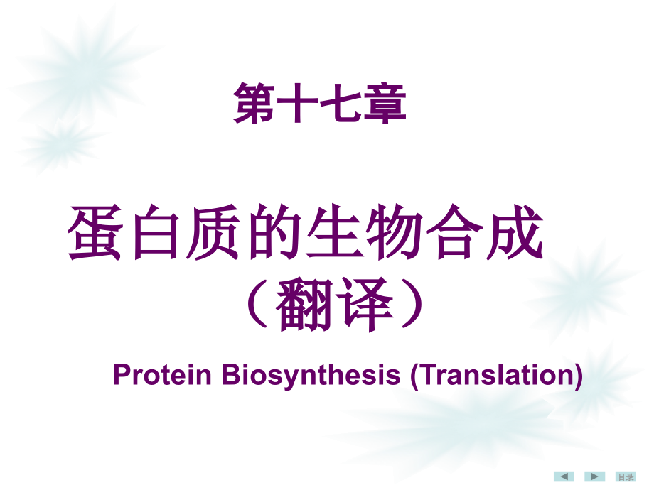 生物化学与分子生物学第十七章蛋白质生物合成(翻译)_第1页