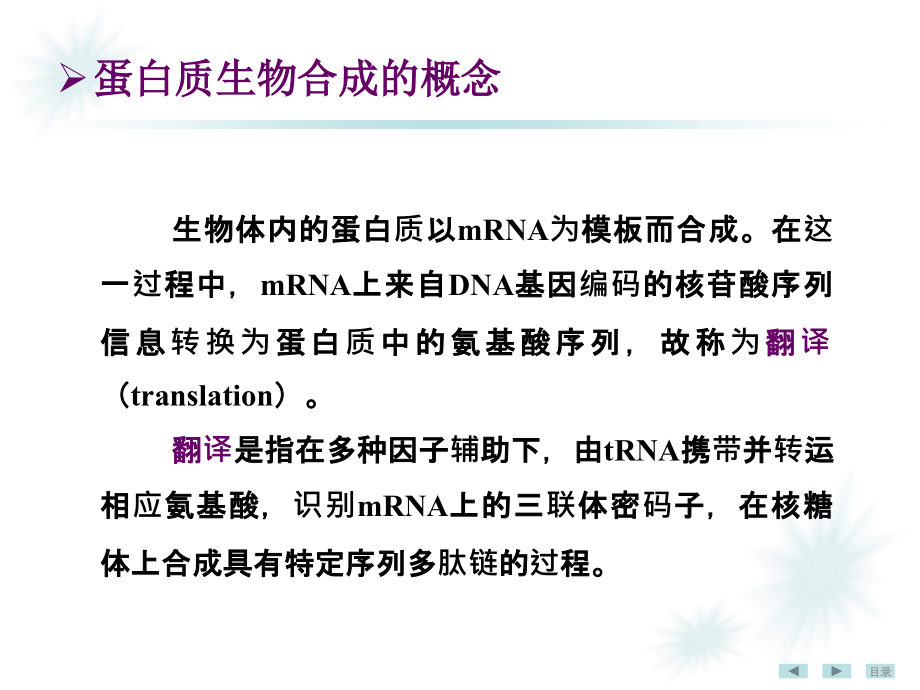 生物化学与分子生物学第十七章蛋白质生物合成(翻译)_第3页