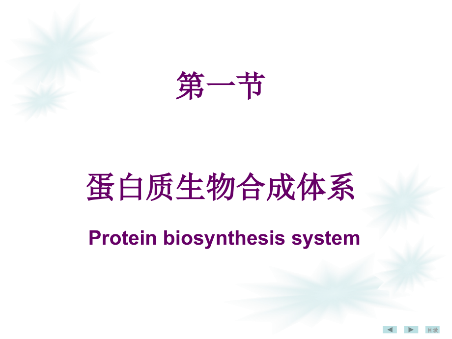 生物化学与分子生物学第十七章蛋白质生物合成(翻译)_第4页