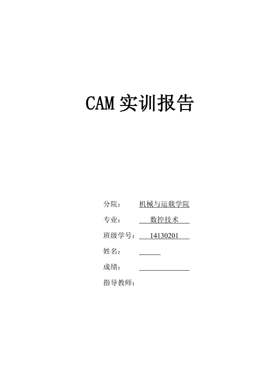 cam实训报告_第1页