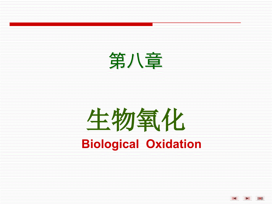 生物化学与分子生物学第八章生物氧化_第2页