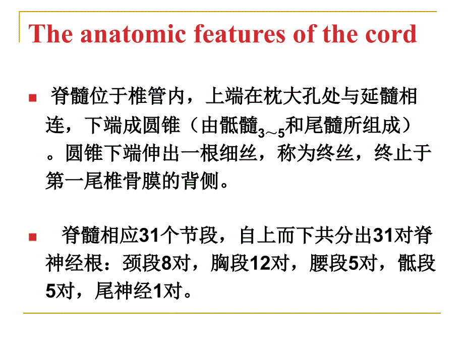 神经内科脊髓疾病_第4页