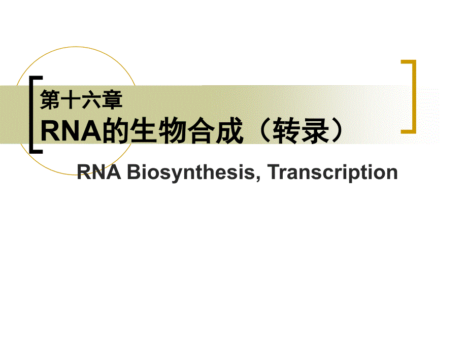 生物化学与分子生物学第十六章RNA的生物合成(转录)_第1页