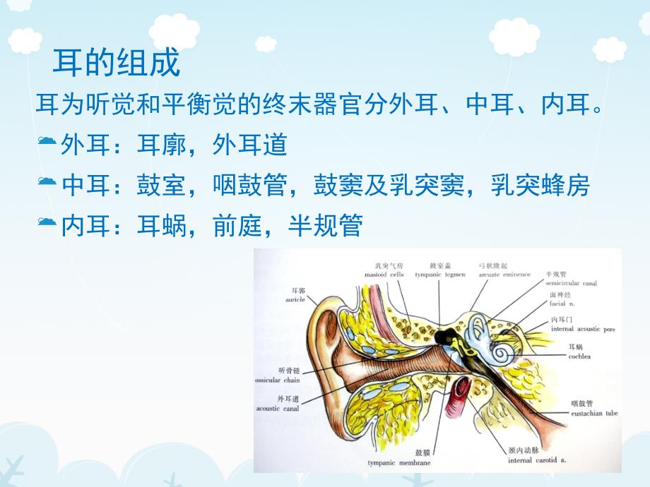 医学影像-耳的影像解剖及常见疾病诊断_图文_第3页