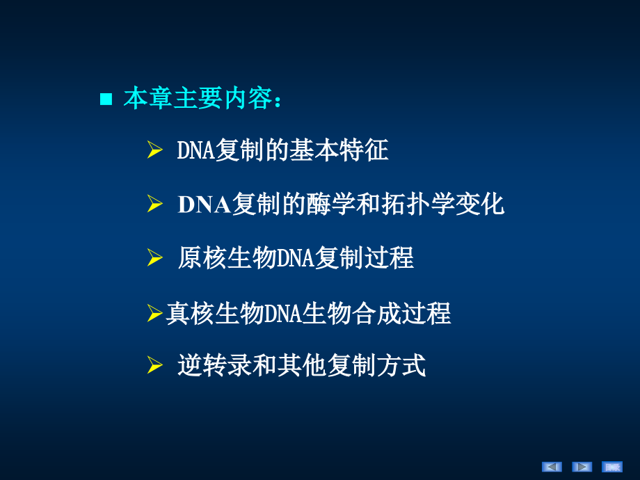 生物化学与分子生物学DNA的生物合成_第4页