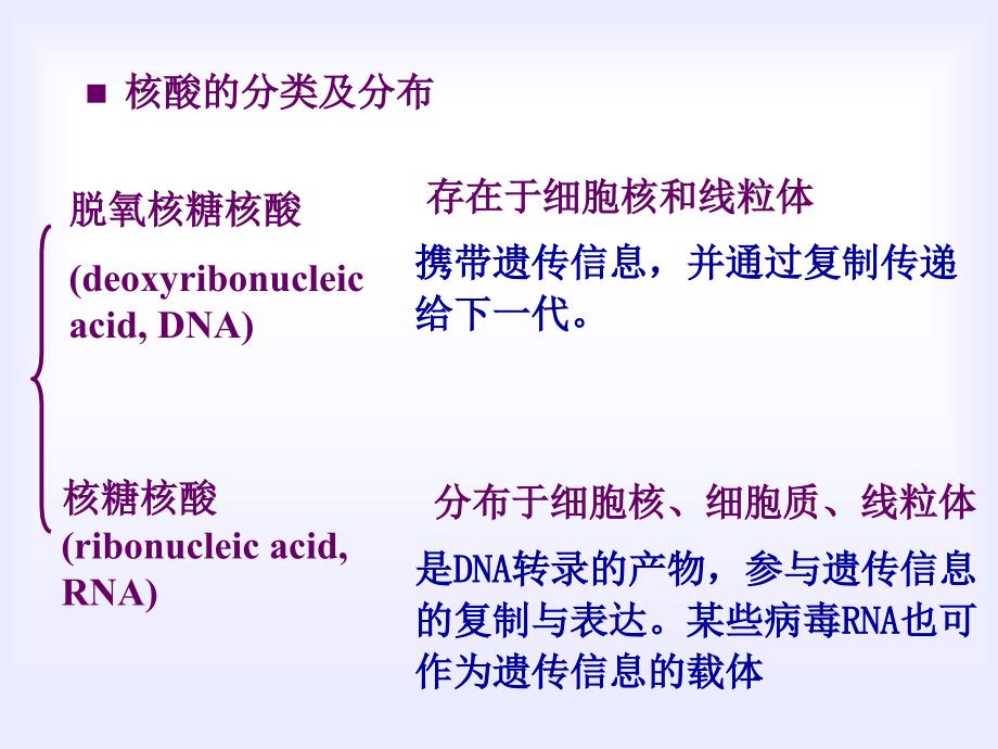生物化学与分子生物学第二章核酸的结构和功能-1_第3页