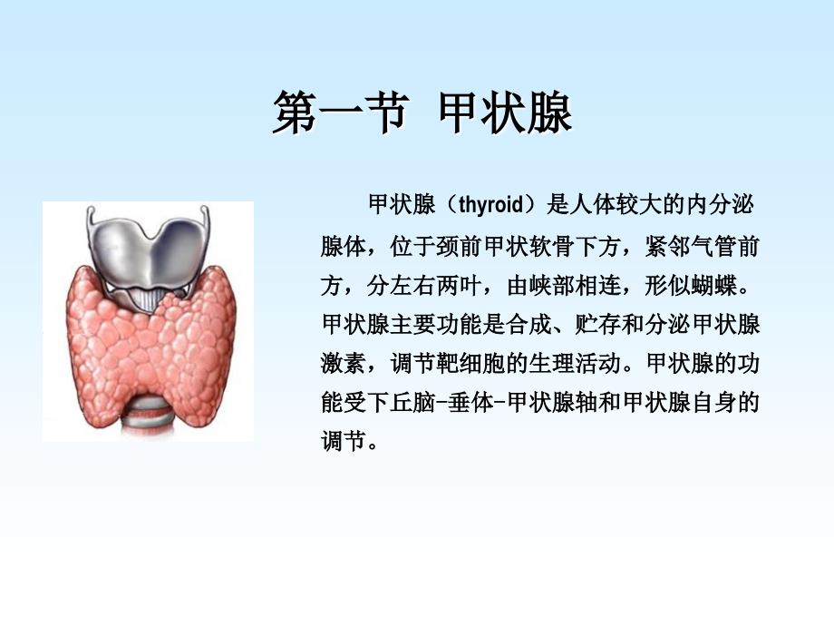 核医学(八年制)第11章内分泌系统_第3页