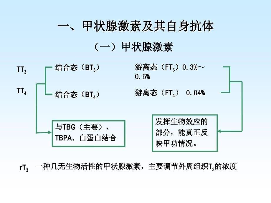 核医学(八年制)第11章内分泌系统_第5页