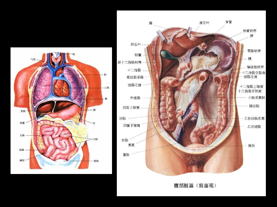 病毒性肝炎预防和治疗_上海肝炎治疗医院_第2页
