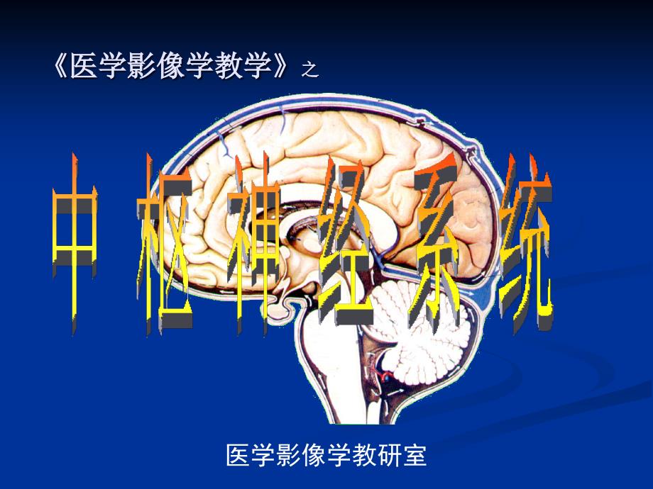 《医学影像学教学》之中枢神经系统_第1页