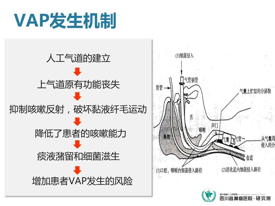 有效吸痰预防vap_第4页