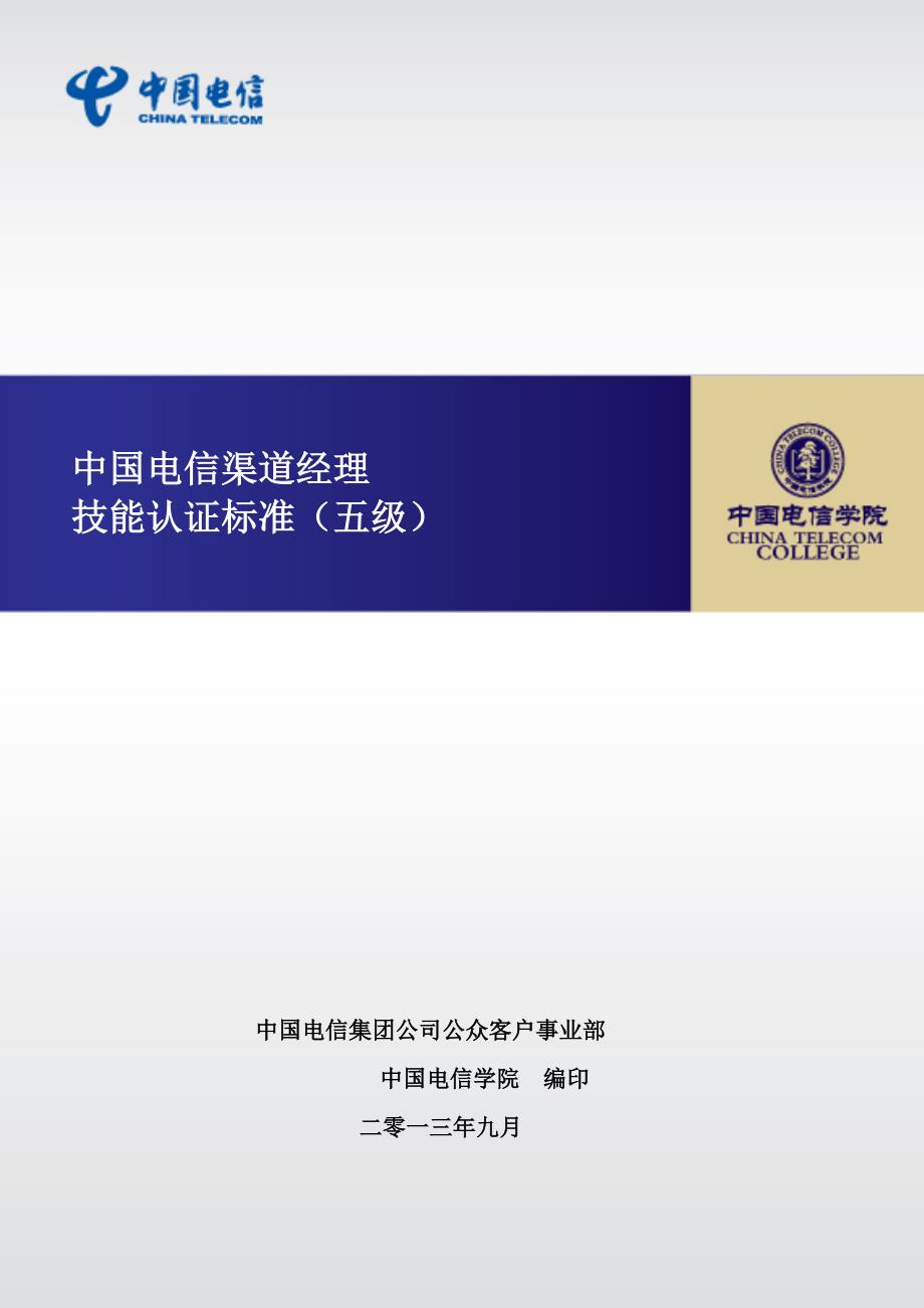 中国电信渠道经理技能认证标准范文_第1页