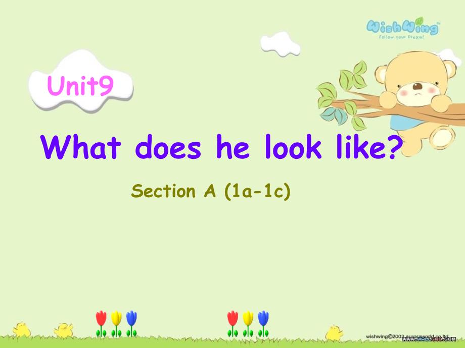 公开课unit9what-does-he-look-like_第1页