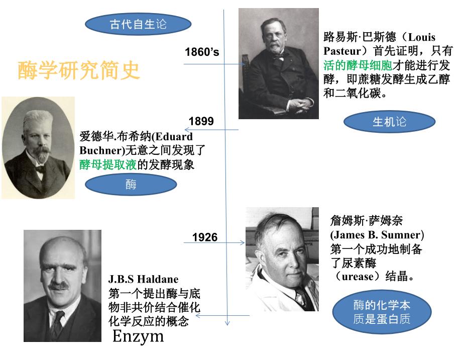 生物化学第二章酶和其他生物催化剂_第4页