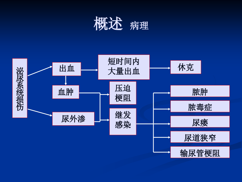 泌尿系损伤课件.祝子清_第4页