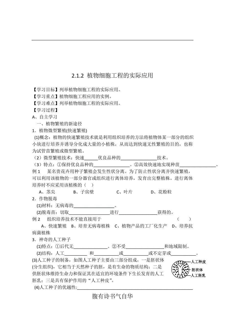 第1节--植物细胞工程-学案_第5页