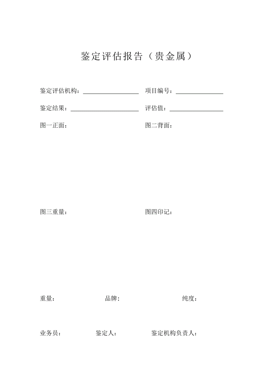 鉴定评估报告模版_第1页