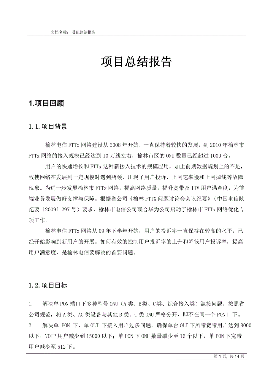 项目总结报告5171624516_第1页