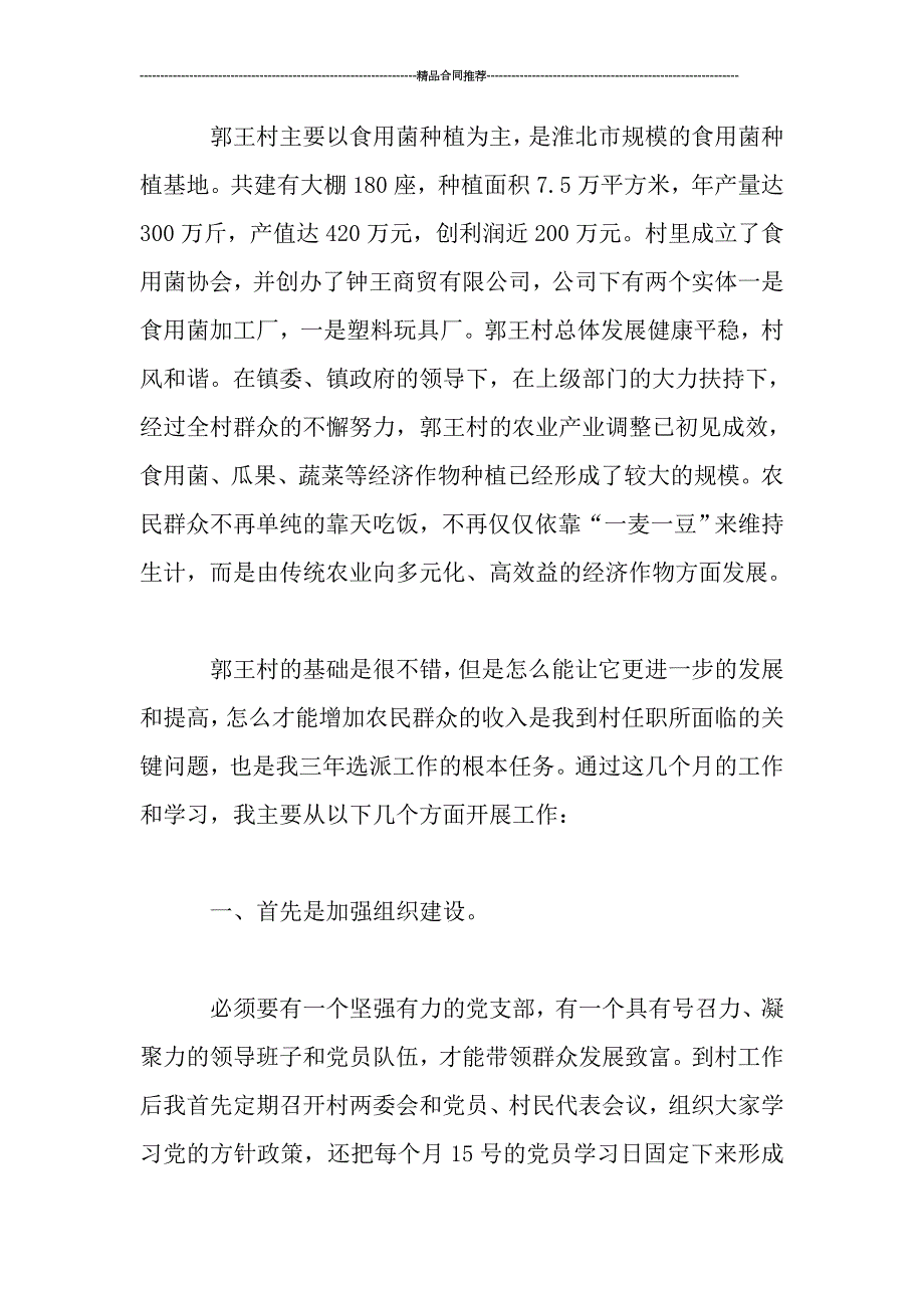 2019村委会书记年终总结范文_第2页