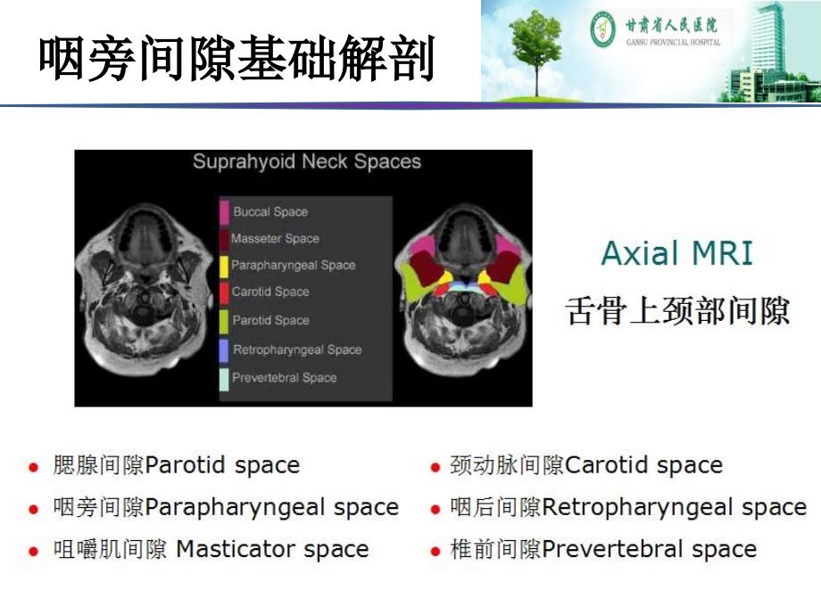 咽旁间隙病变影像诊断及鉴别病例_第4页