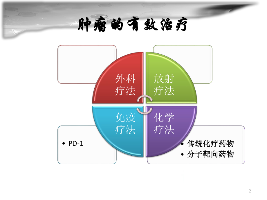 (鲁莹)靶向治疗药物_第2页