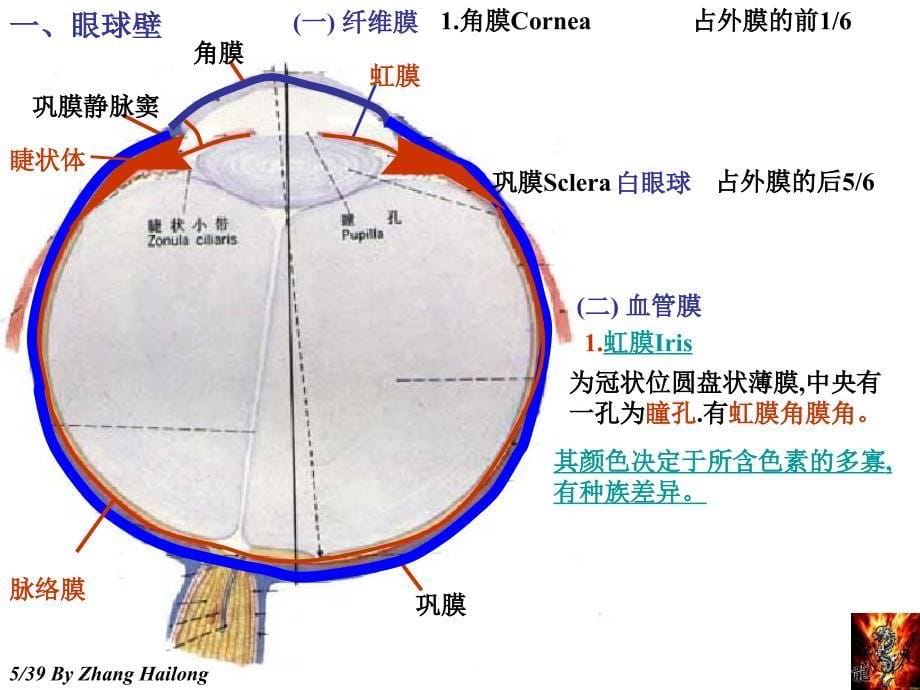 实验112感觉器_第5页