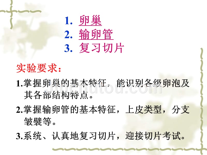 实验课件1廖敏试验10女性生殖系统_第2页