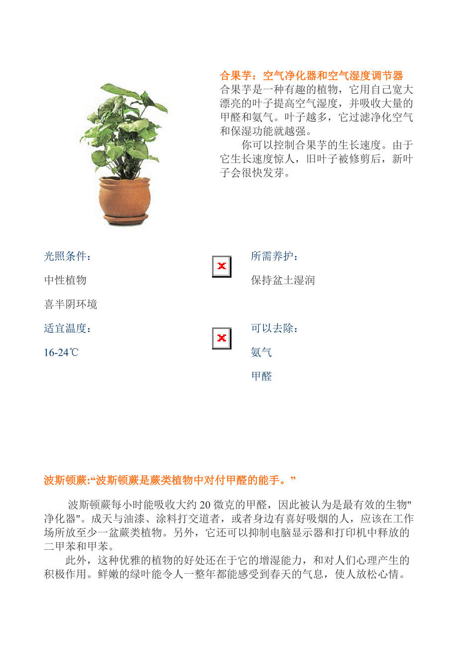 植物作用介绍_第4页