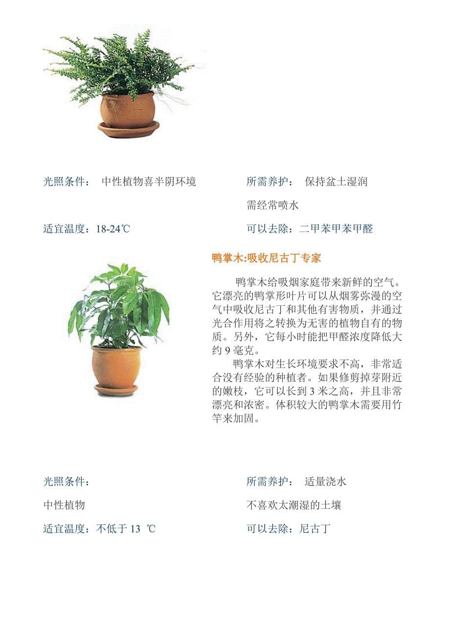 植物作用介绍_第5页