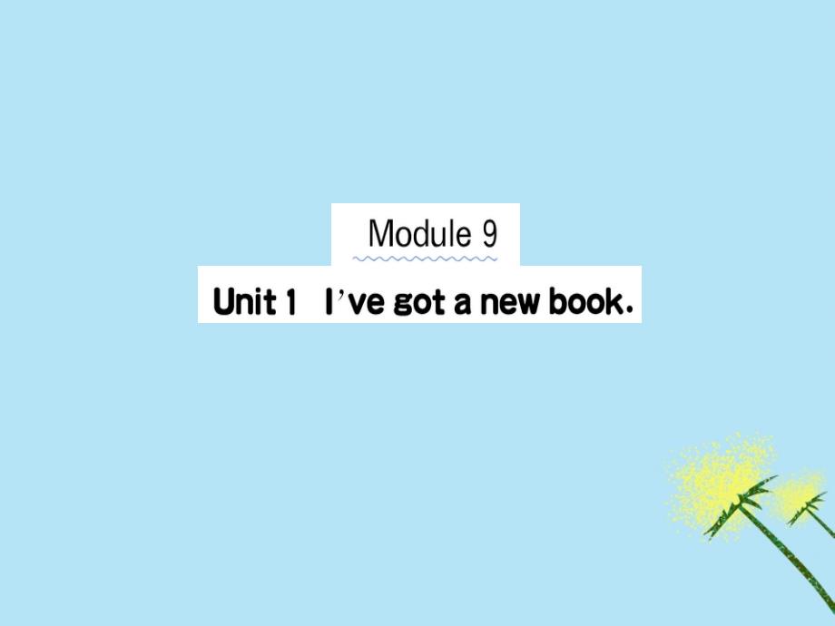 2019版三年级英语下册Module9Unit1I’vegotanewbook作业课件外研版（三起）_第1页